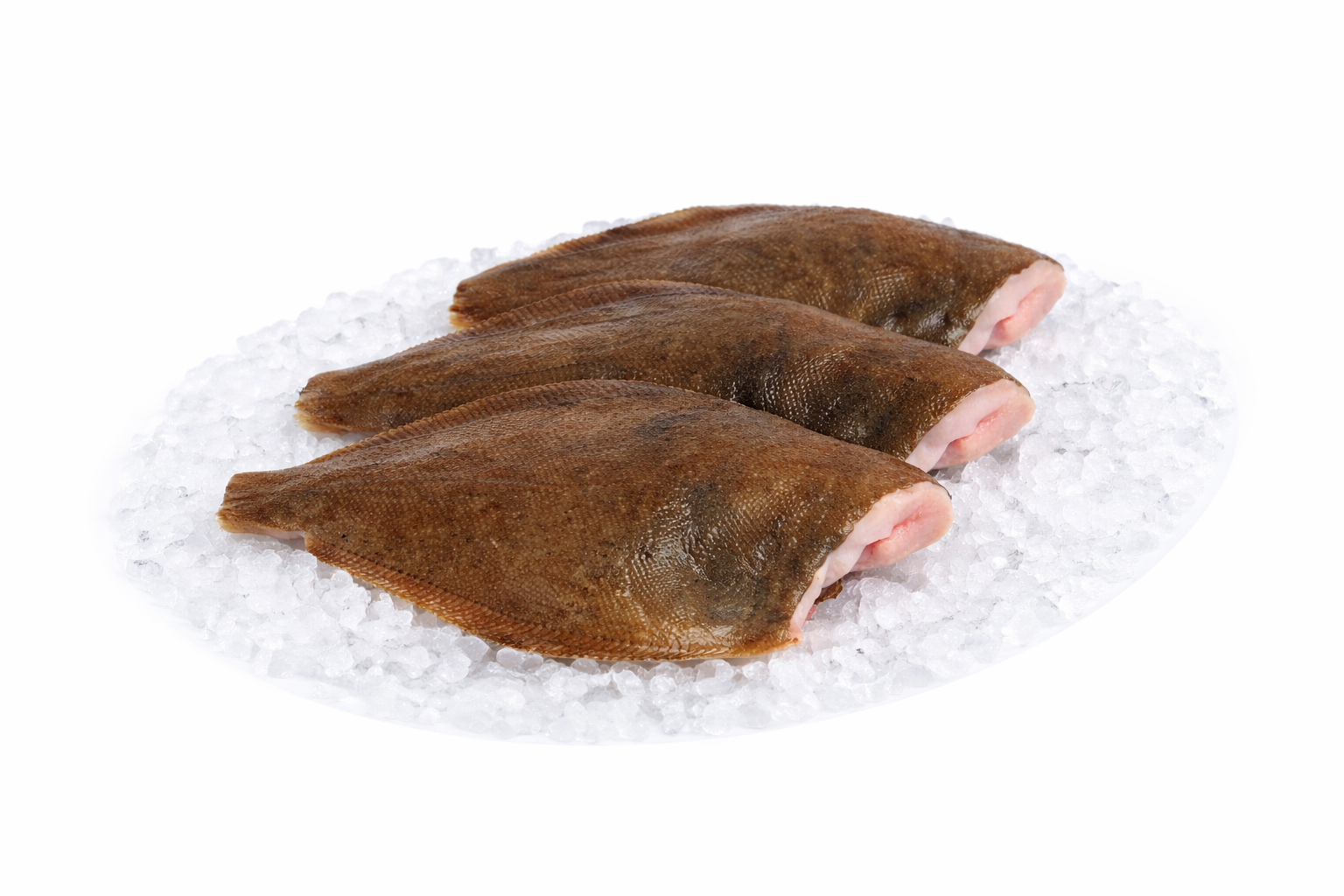 Drie rauwe bruine visfilets op gemalen ijs.