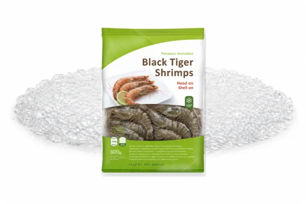 Zak Black Tiger garnalen HOSO met kop en schaal op ijs