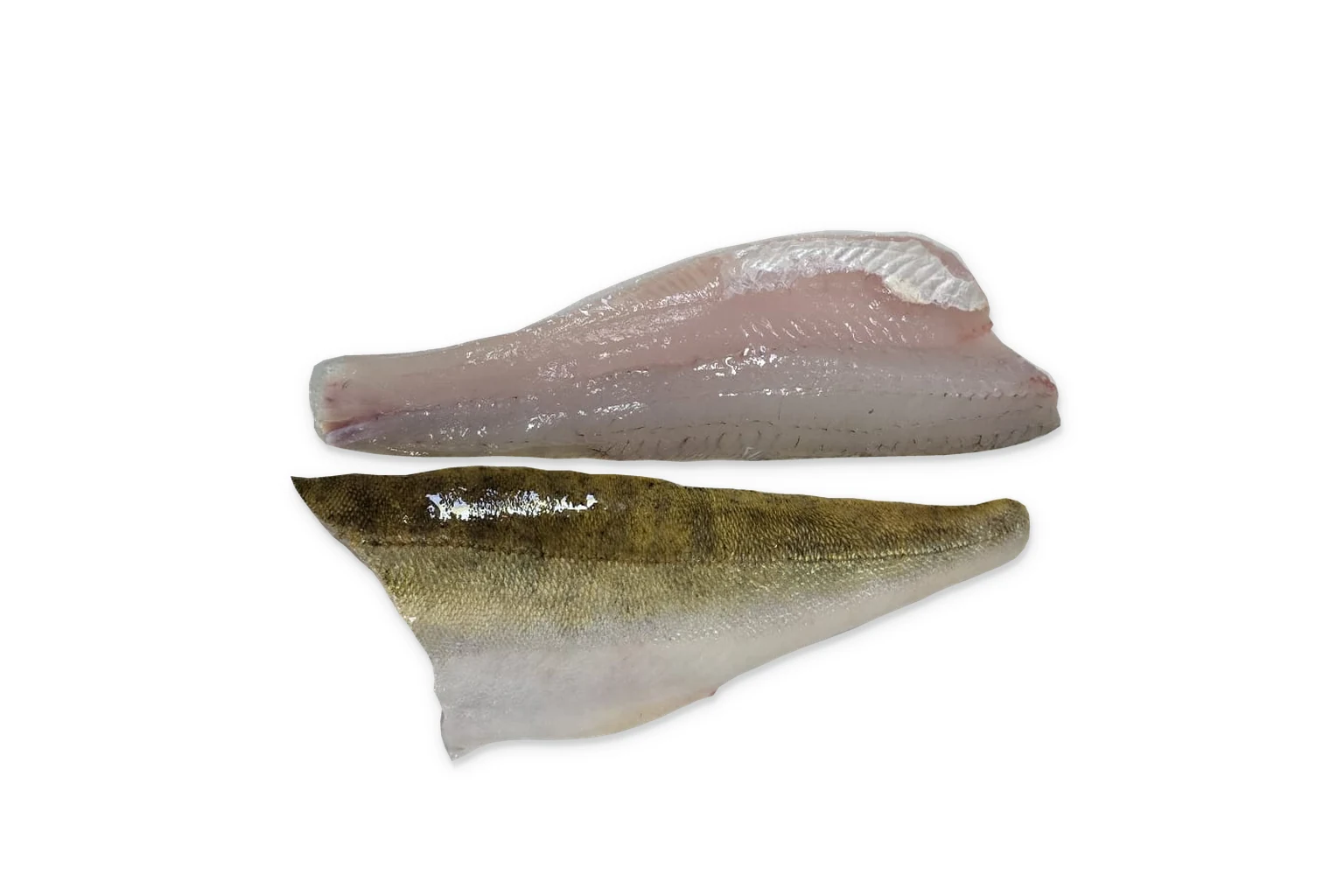 Snoekbaars Filet - twee echte filets met vleeszijde en huidzijde zichtbaar op een witte achtergrond