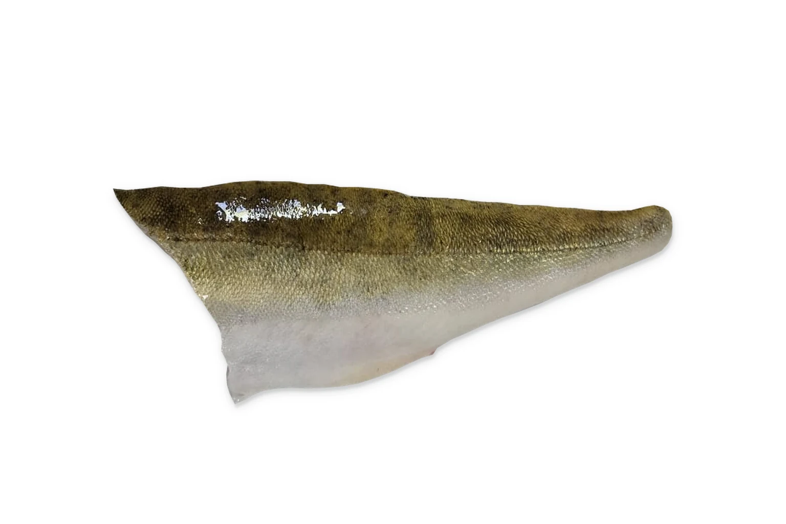 Snoekbaars Filet - een filet met huid naar boven op een witte achtergrond