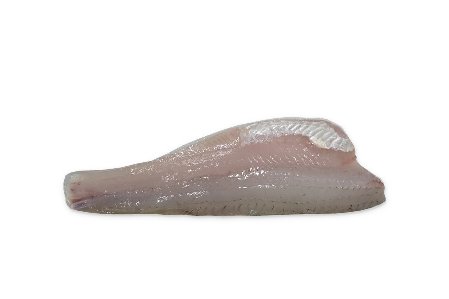 Snoekbaars Filet - een filet met huid naar beneden op een witte achtergrond