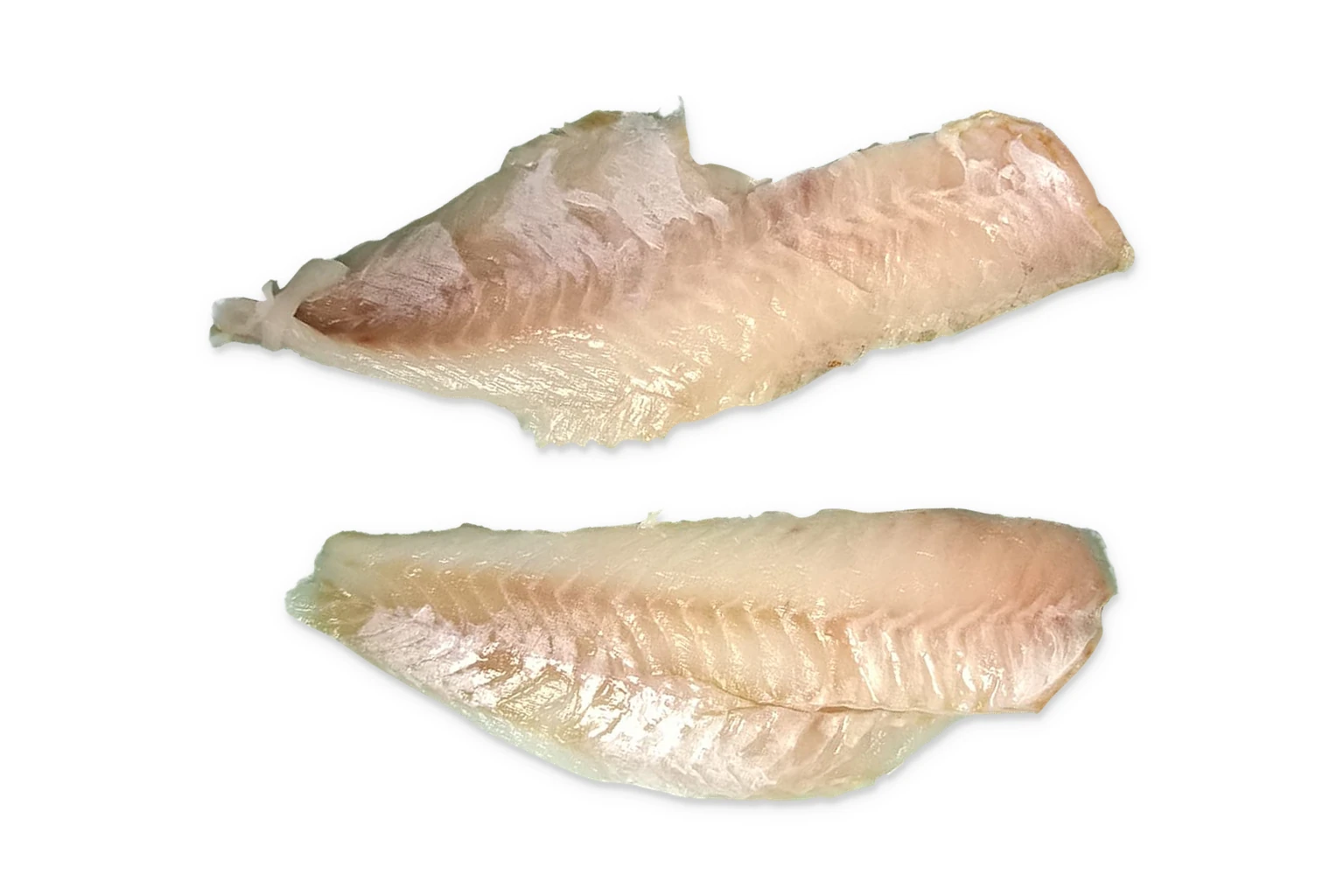 Twee echte roodbaarsfilets op een witte achtergrond, gefotografeerd na ontdooien
