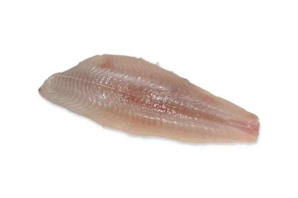 Tong Culinair - panklare tong zonder vel en kop op een witte achtergrond